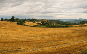 Mas Cal Sastre, allotjament rural amb encant per a parelles